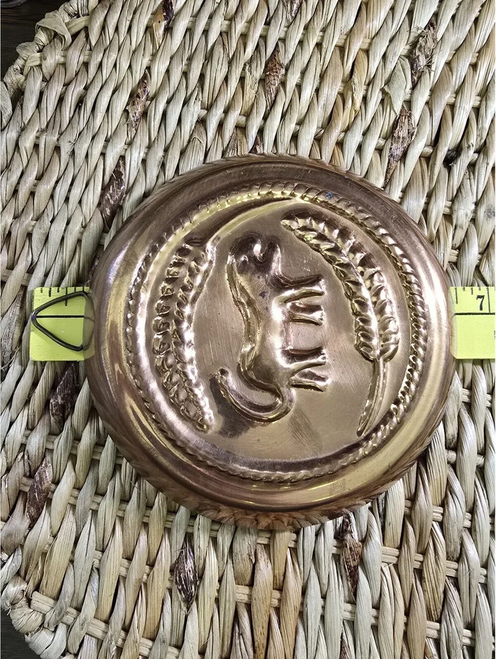 Vintage Copper toned cake food jello mold wall hanging Lion Tiger Kitchen decor